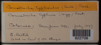Image Associated With the Occurence
